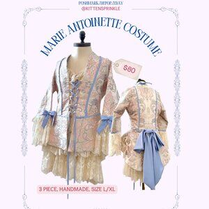 Handmade Marie Antoniette costume/cosplay
